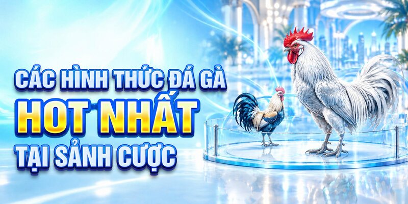 Các hình thức đá gà hot nhất tại sảnh cược