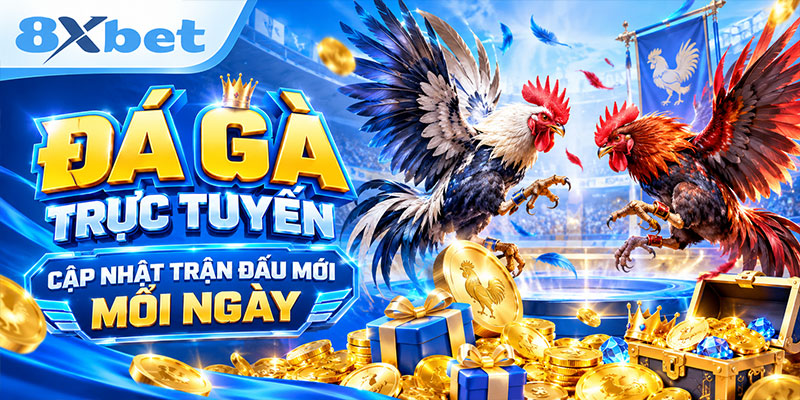 Đá gà trực tuyến cập nhật trận đấu mới mỗi ngày