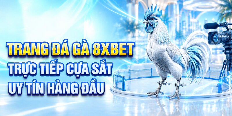 Trang đá gà 8XBET trực tiếp cựa sắt uy tín hàng đầu 